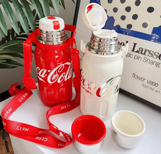 Premium Insulated Stainless Steel Water Bottle with Strap