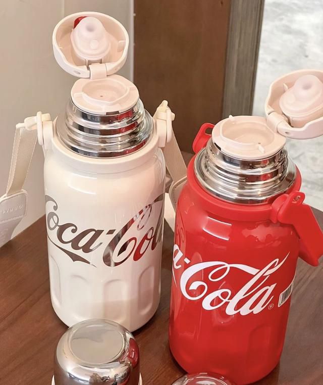 Premium Insulated Stainless Steel Water Bottle with Strap